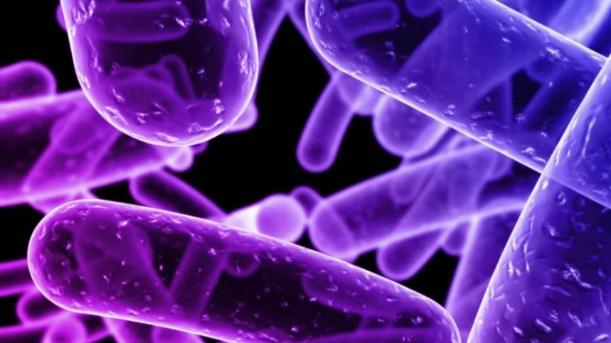 Los Peligros y Complicaciones De Estudiar Bacteriología
